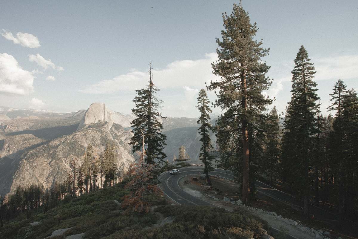 glacier point green trees yosemite valley